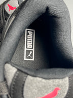 Puma 180 grid