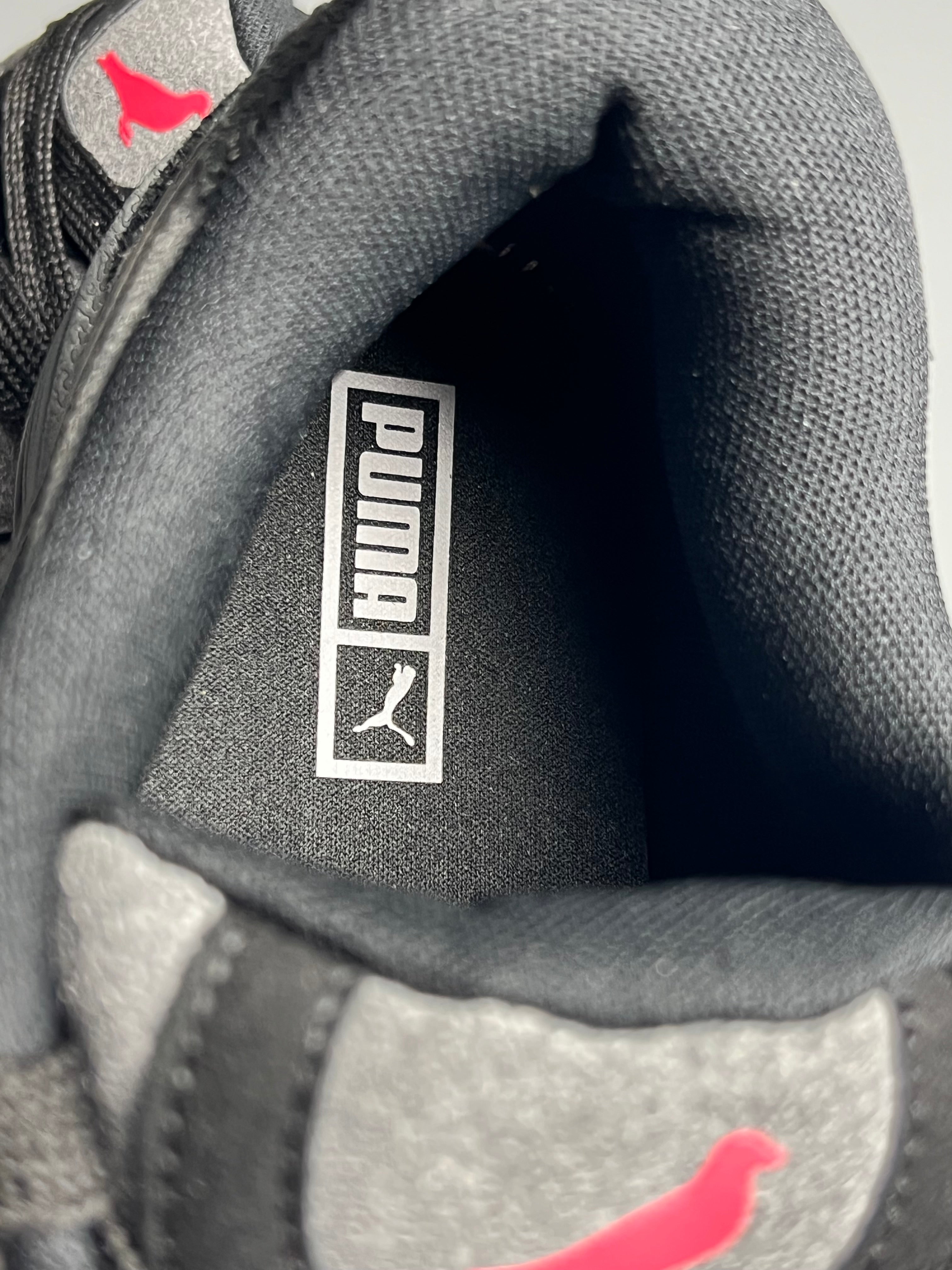 Puma 180 grid