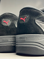 Puma 180 grid