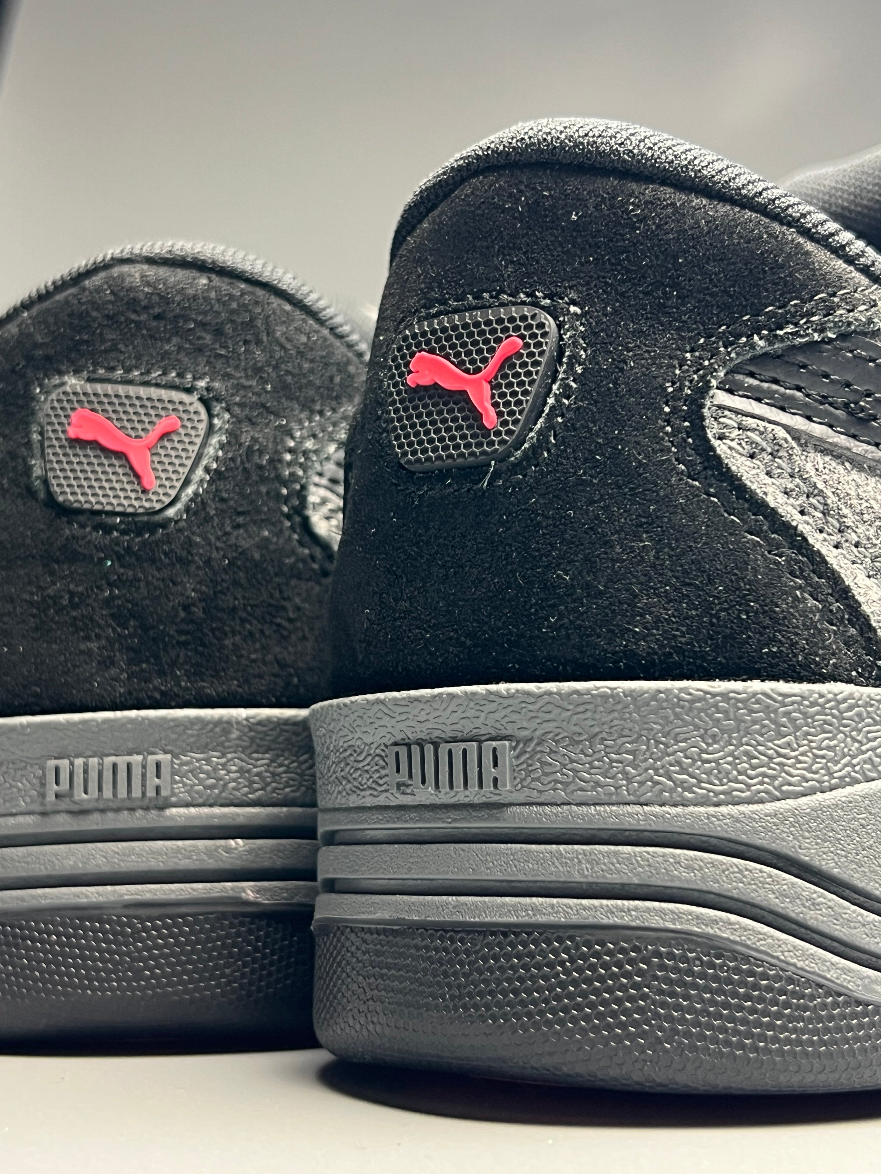 Puma 180 grid