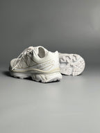 Salomon XT-6 / White