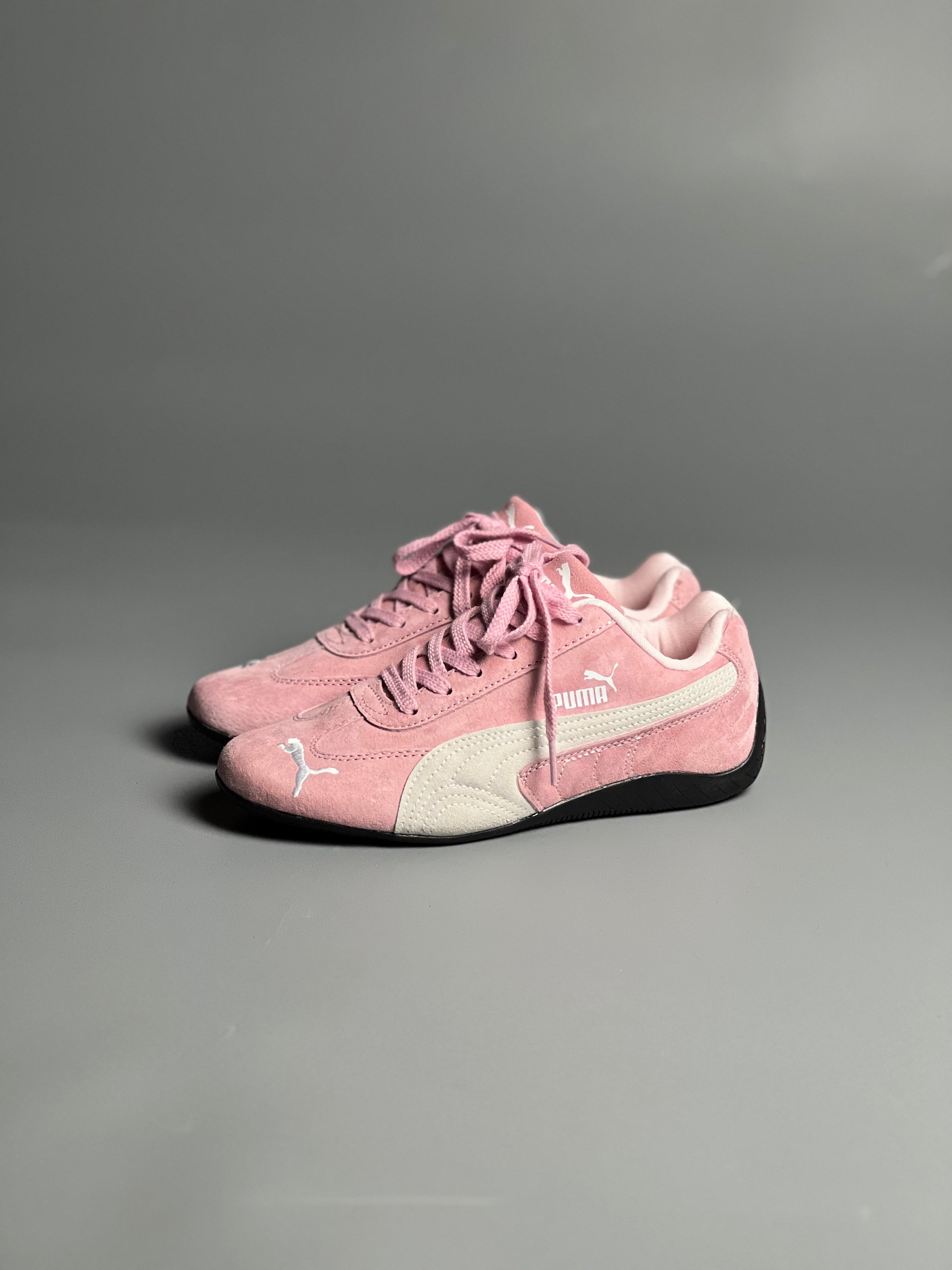 Speedcat rose rose